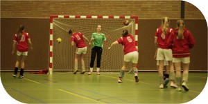 View 2016.04.30 10.25.45  MG 4874